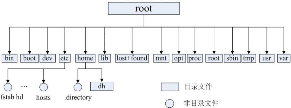 Linux的目录结构
